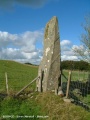 Hirfaen Gwyddog - PID:10947