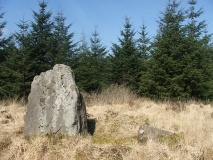 Mynydd Myddfai Stones