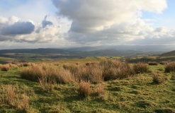 Bryn Poeth Uchaf (North & South)