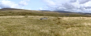 Nant-y-Llyn (Carmarthenshire) - PID:170078