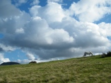 Bylchau Blaenclydach Stone - PID:63969