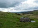 Bylchau Blaenclydach Stone - PID:63972
