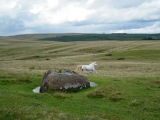 Bylchau Blaenclydach Stone - PID:63973