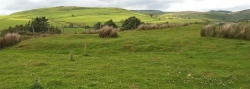 Cae Pentwyr - PID:213275