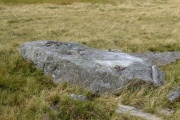 Nant-y-Llyn (Carmarthenshire) - PID:170077