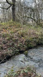 Cwmffrwd burnt mound - PID:301104