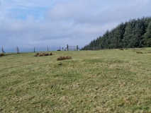 Rhiw Garegog Round barrows