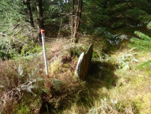 Mynydd Llanybyther stone row