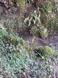 Ffynnon Gwenlais