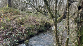 Cwmffrwd burnt mound - PID:301100