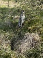 Carreg Hir (Llanybydder) - PID:288943