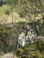 Carreg Hir (Llanybydder) - PID:288942