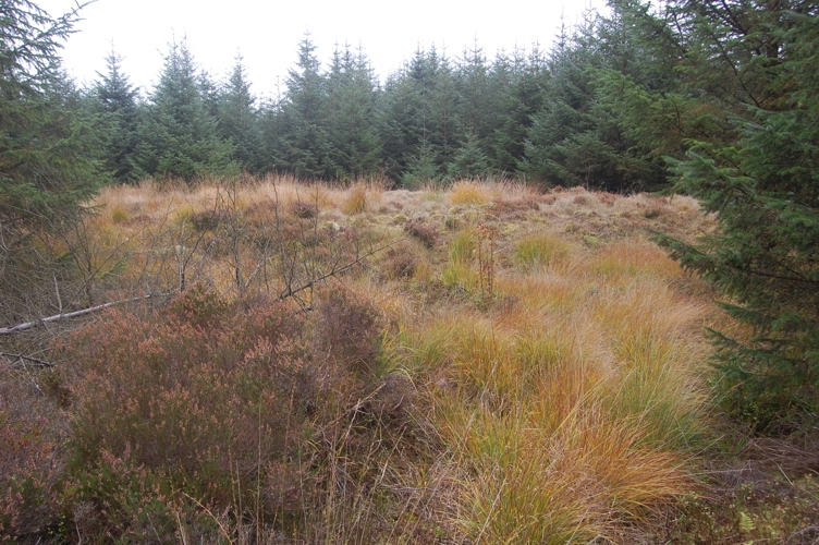 Crugiau Rhos-Wen 2