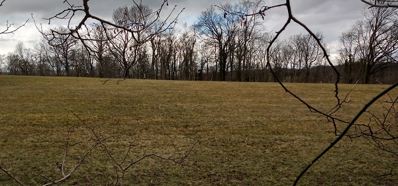 Click for the gallery page to add comments and vote (PID:224961) Pen Hill Defended Enclosure