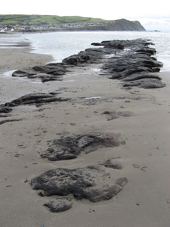 Click for the gallery page to add comments and vote (PID:100037) Borth Sands Submerged Forest