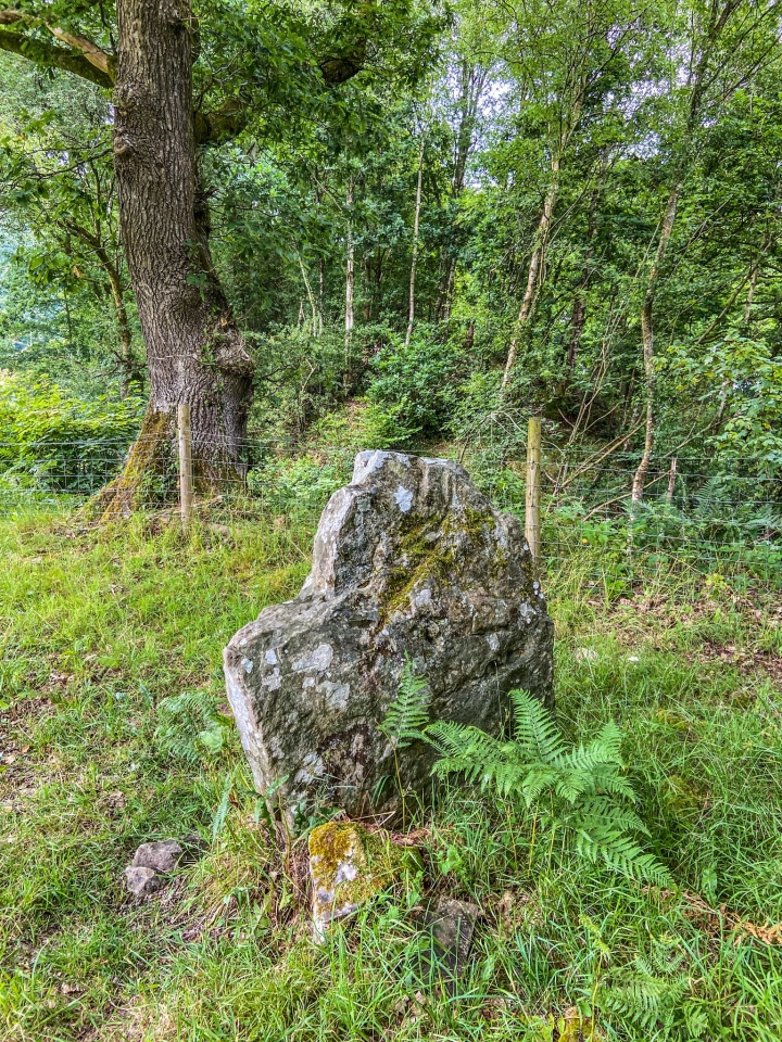 Click for the gallery page to add comments and vote (PID:260561) Stone near Castell Gwynionydd