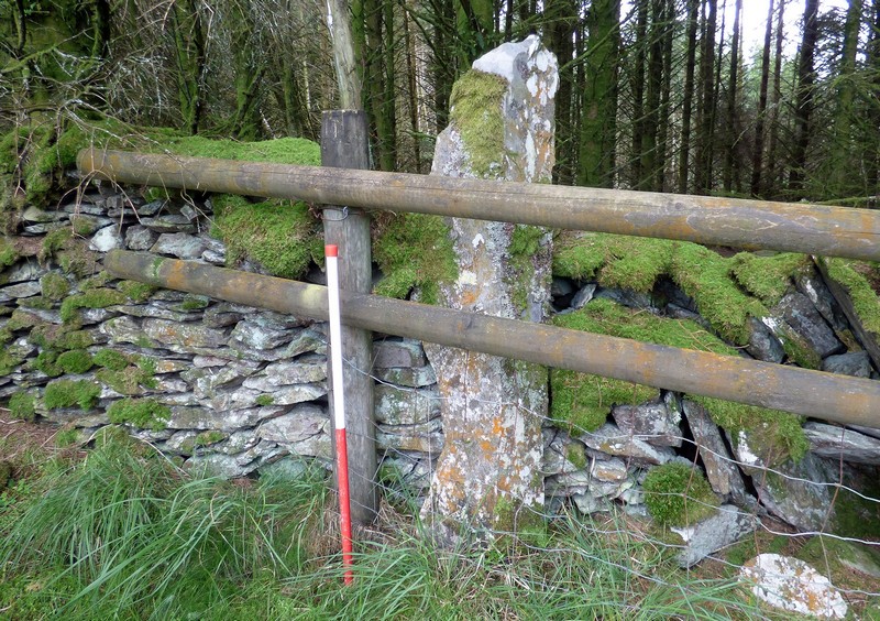 Brwyno-Canol