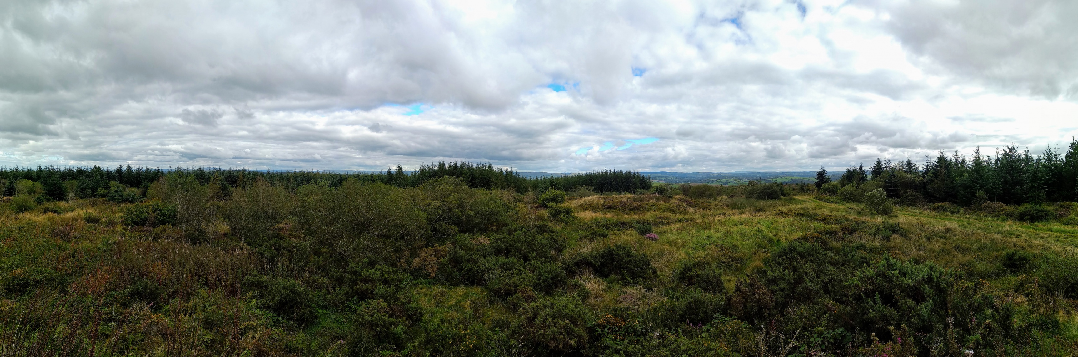 Trichrug cairns