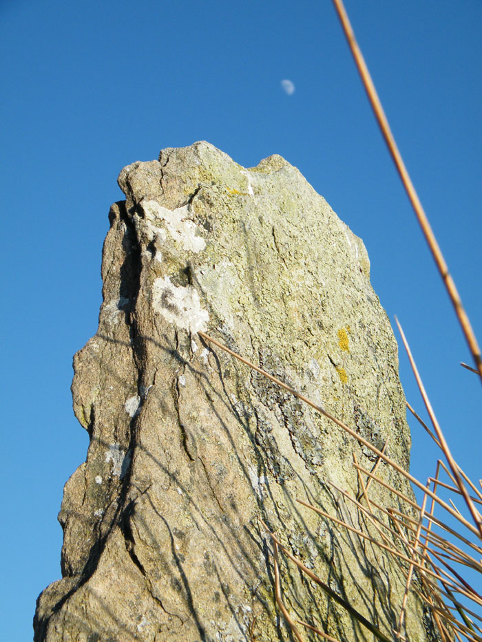 Bryn y Gorlan