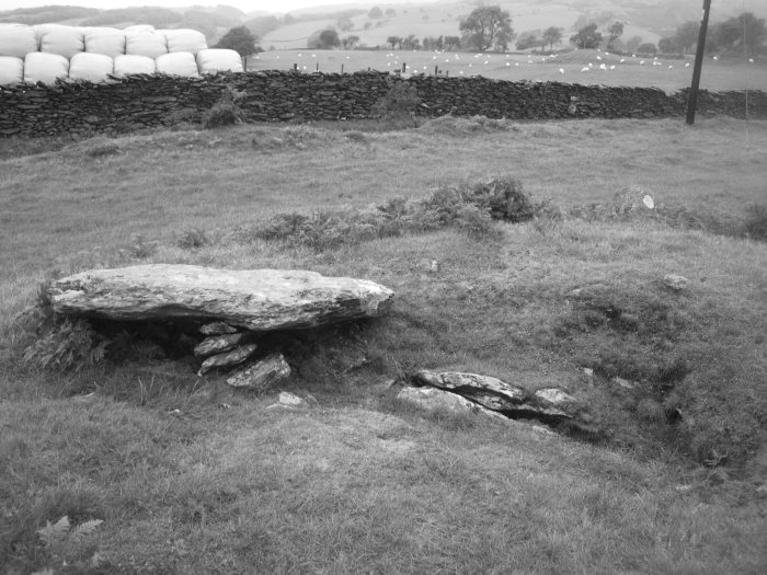 A view of the displaced capstone and collapsed central cist.