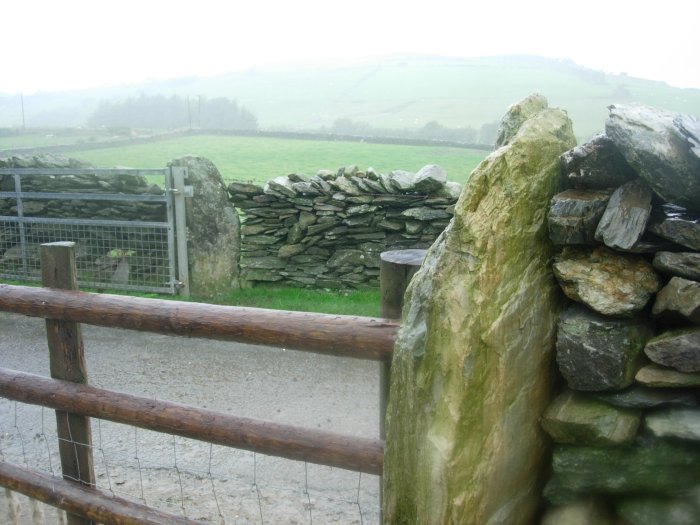Bedd Taliesin George Nash remarks an antiquarian noting stones here being robbed for gateposts. Take a look at the nearby gateposts across the road, and further around the corner. Also, the dry stone walls have some 'suspicious' stones.