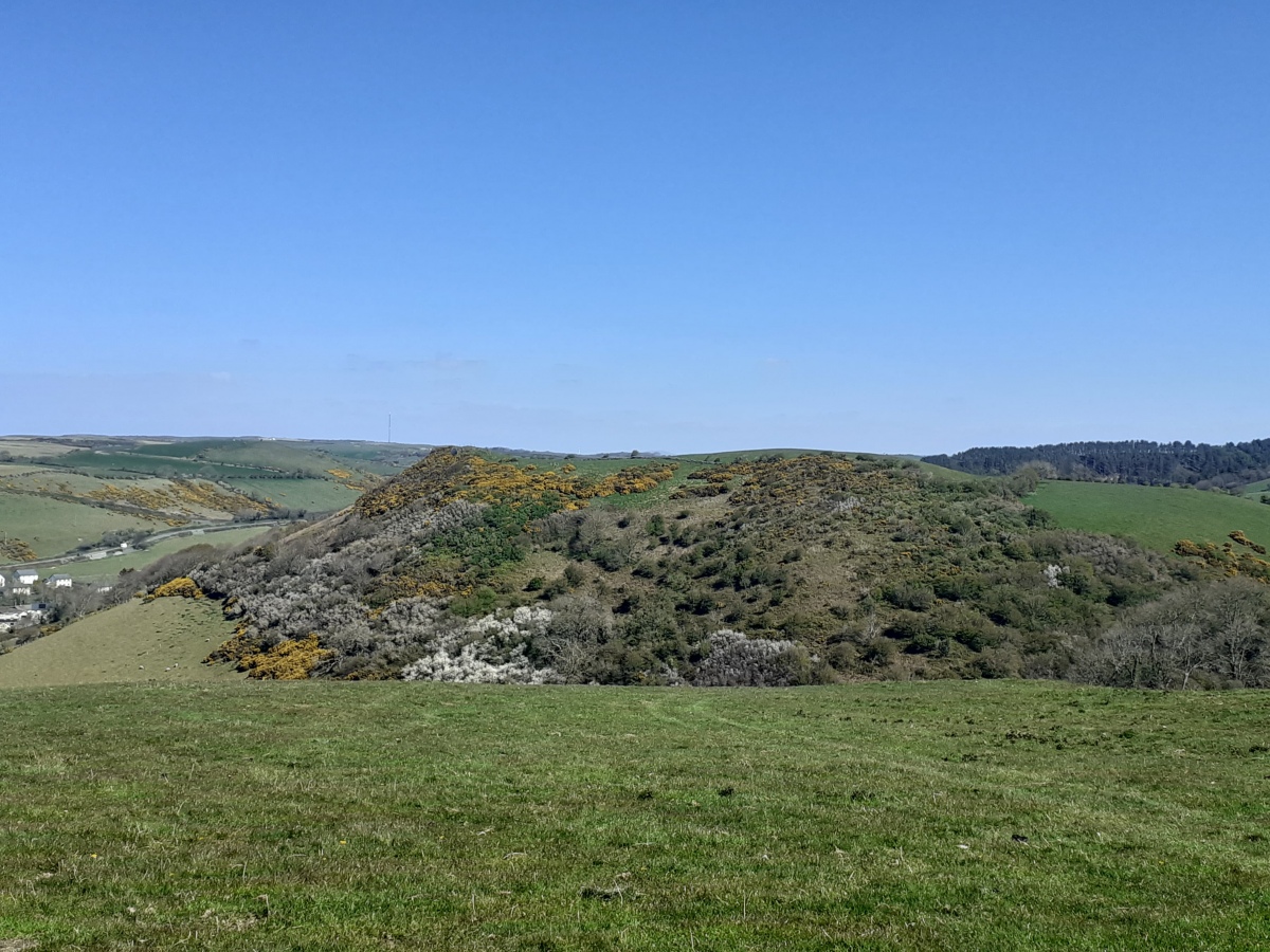 Y Foel Promontory Fort 