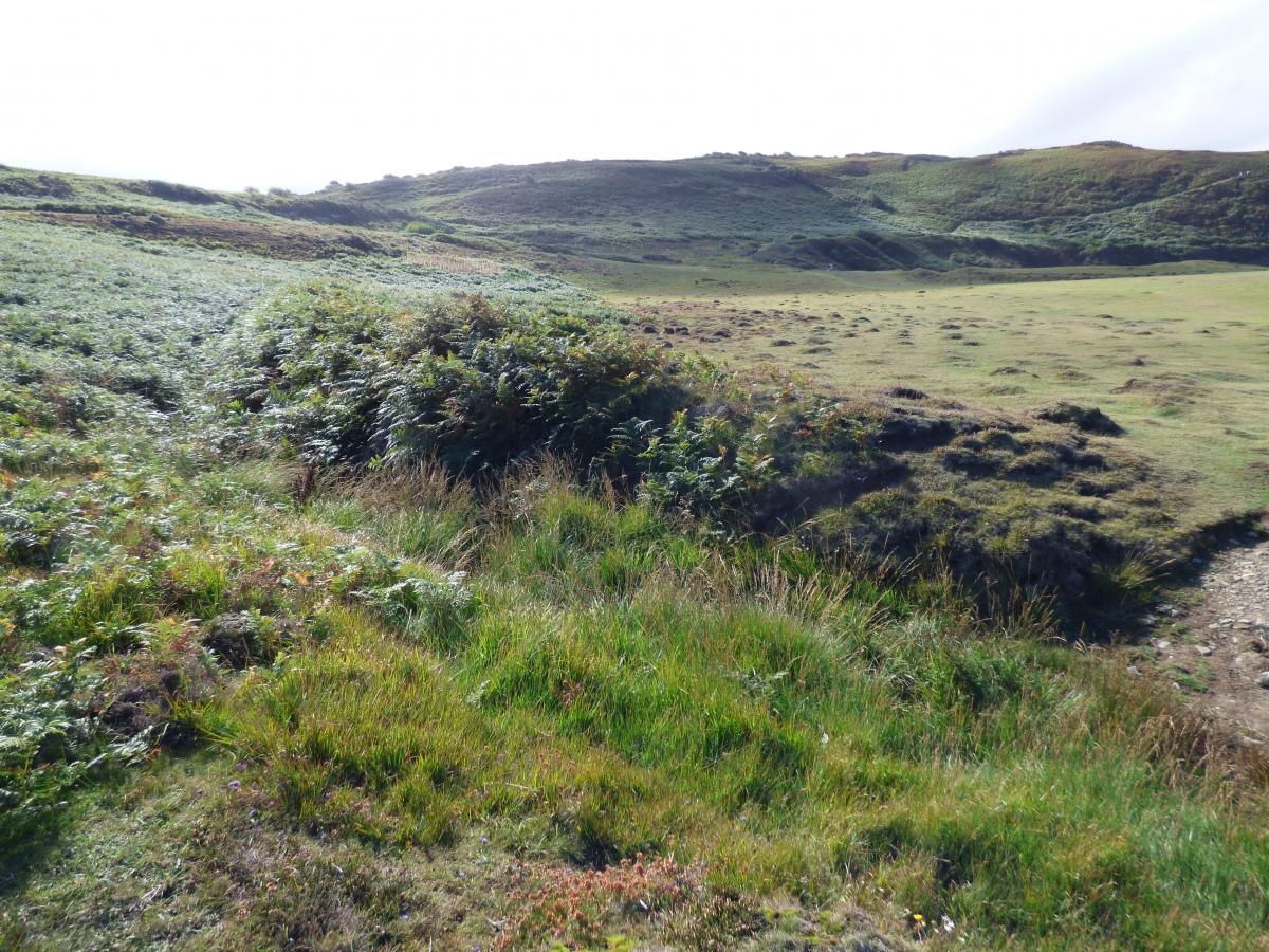 Click for full size image of Castell Bach (Pen y Graig) (PID:252404) Castell Bach (Pen y Graig)