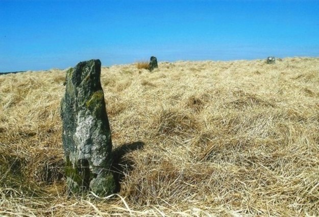 Bryn y Gorlan