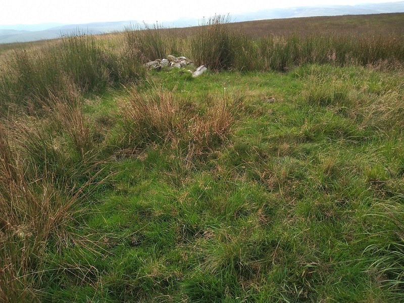 Click for the gallery page to add comments and vote (PID:214603) Blaen nant y Rhiw Round Cairn