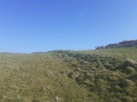 St David's Church Hillfort
