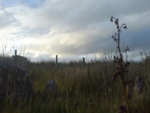 Aber Camddwr