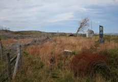 Carreg Wen (Hafren)