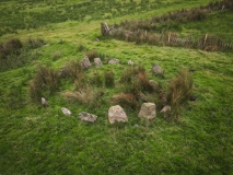 Hirnant