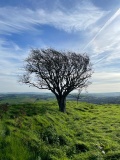 Castell Moeddyn - PID:312763