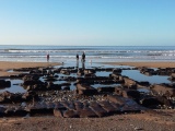 Borth Sands Submerged Forest - PID:221949