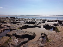 Borth Sands Submerged Forest - PID:221951