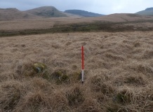 Disgwylfa Fach Stone Row