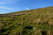 Waun Claerddu Cist - PID:229695