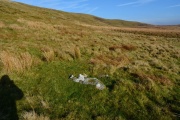 Waun Claerddu Cist - PID:229694