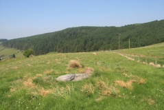 Garrig Hir