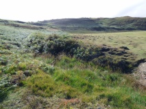 Castell Bach (Pen y Graig)