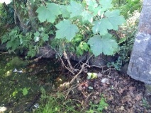 Ffynnon Dewi (Plwmp)