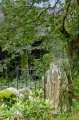 Ysbyty Cynfyn - PID:170839