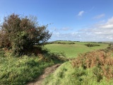 Pen Dinas (Aberystwyth) - PID:264340