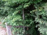 Ffynnon-Wen - PID:186057