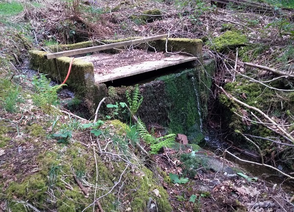 Click for the gallery page to add comments and vote (PID:196950) Ffynnon Llygaid (Drefach)