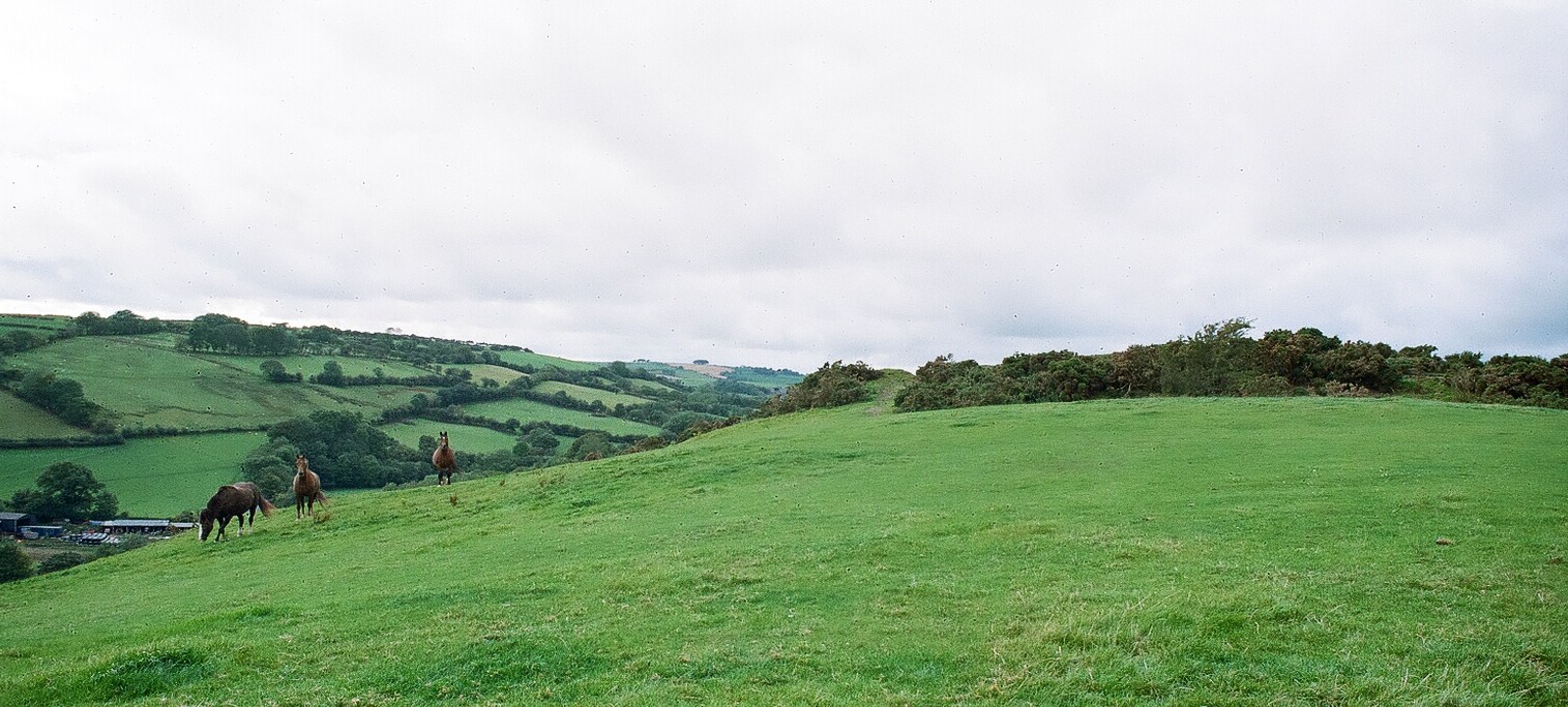 Click for the gallery page to add comments and vote (PID:84158) Gaer Maesmynach