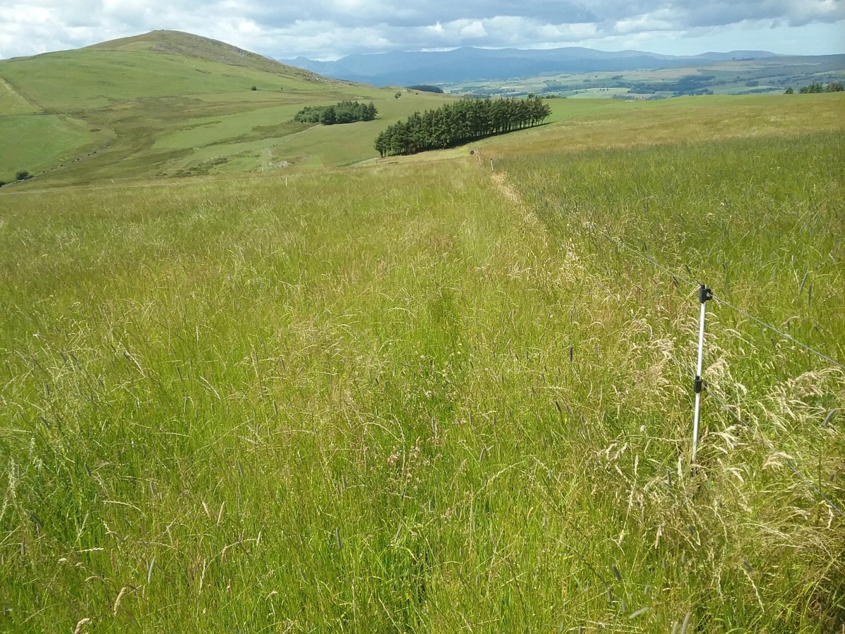 Looking back whilst following the electric fence to the summit. Garn Prys left of pic.