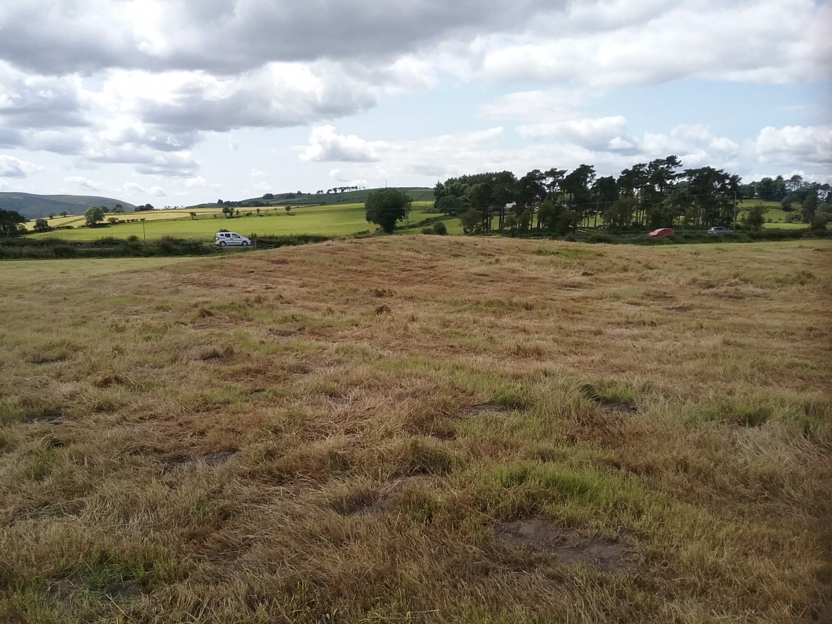 Click for the gallery page to add comments and vote (PID:259975) Cronglwyd Fawr Barrow