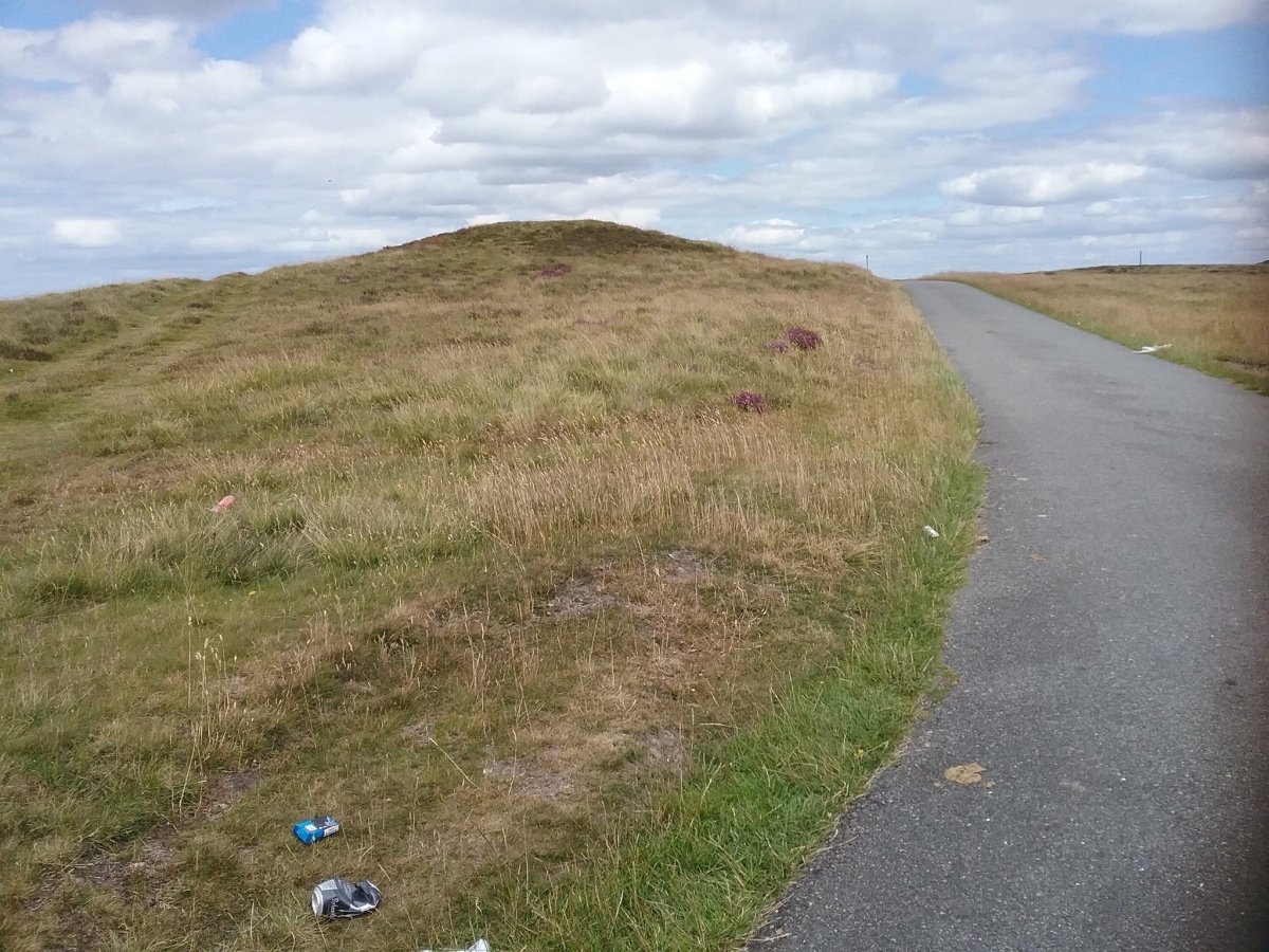 Approaching the barrow site from the south. Unfortunately the site area was littered with cans and food wrappings. 